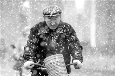 南京凱曼專業生產,壓力表,熱電偶,熱電阻,不銹鋼壓力表,質量保證。